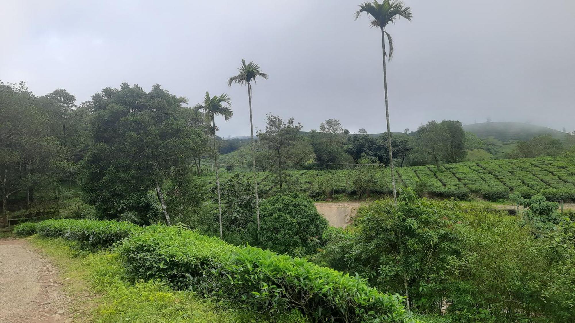 Paradise Meadows Vagamon Ngoại thất bức ảnh