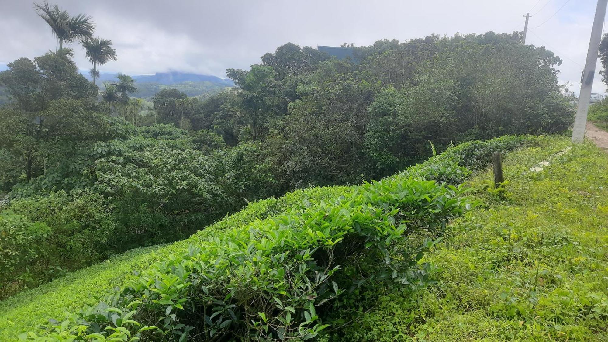 Paradise Meadows Vagamon Ngoại thất bức ảnh